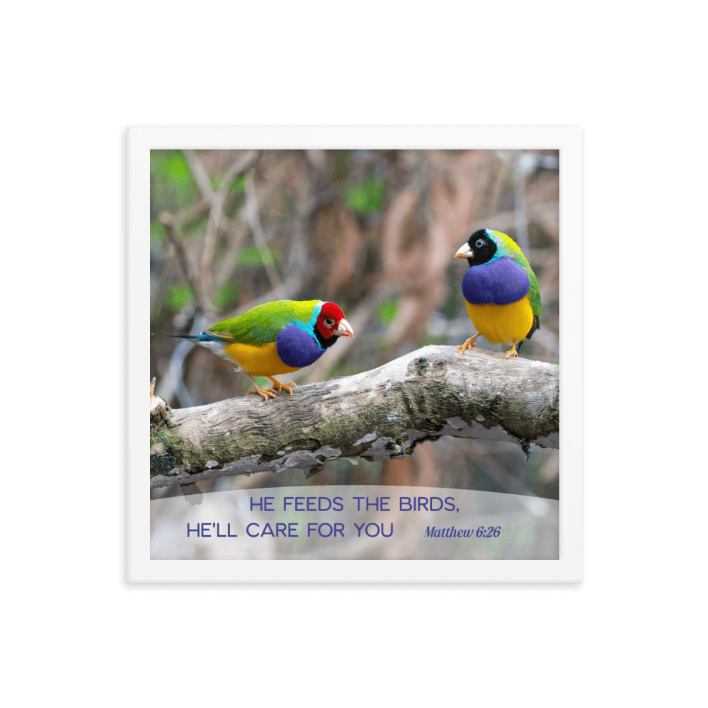 Matthew 6:26 Gouldian Finches, He'll Care for You Enhanced Matte Paper Framed Poster Wall Art White 14″×14″