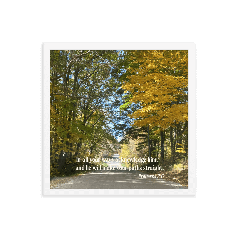 Proverbs 3:6 Bible Verse, Fall Road Enhanced Matte Paper Framed Poster Wall Art White 16″×16″