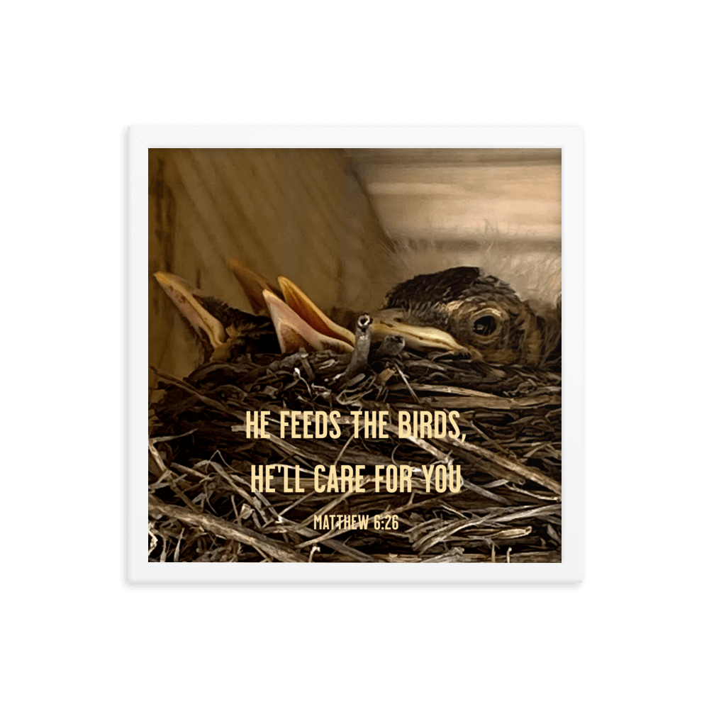 Matthew 6:26 Baby Robins, He'll Care for You Enhanced Matte Paper Framed Poster Wall Art White 16″×16″