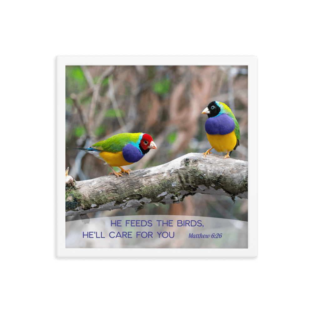 Matthew 6:26 Gouldian Finches, He'll Care for You Enhanced Matte Paper Framed Poster Wall Art White 16″×16″