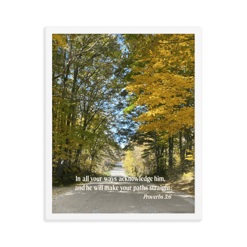 Proverbs 3:6 Bible Verse, Fall Road Enhanced Matte Paper Framed Poster Wall Art White 16″×20″
