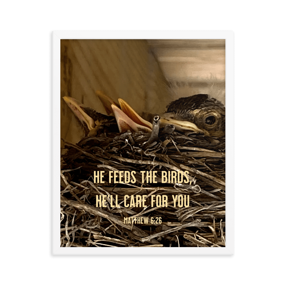 Matthew 6:26 Baby Robins, He'll Care for You Enhanced Matte Paper Framed Poster Wall Art White 16″×20″