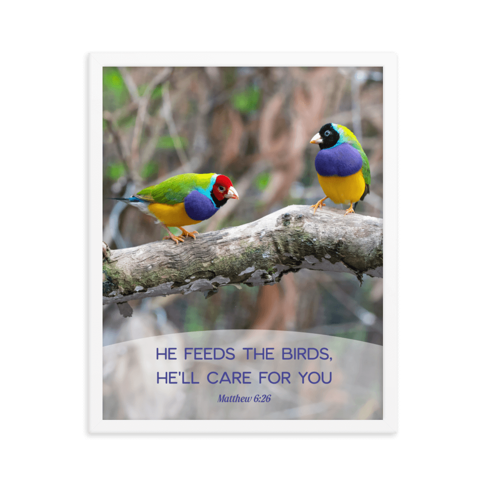 Matthew 6:26 Gouldian Finches, He'll Care for You Enhanced Matte Paper Framed Poster Wall Art White 16″×20″
