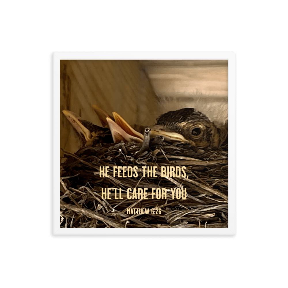Matthew 6:26 Baby Robins, He'll Care for You Enhanced Matte Paper Framed Poster Wall Art White 18″×18″