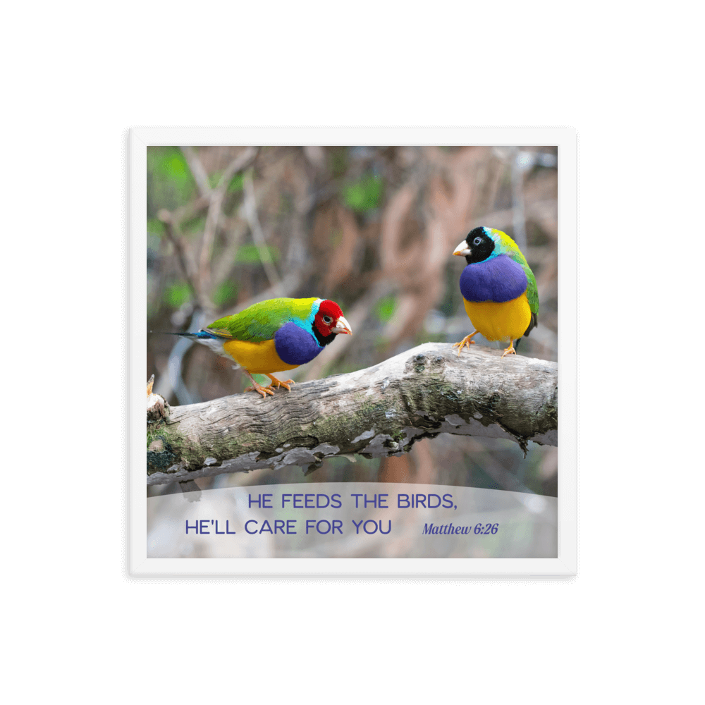 Matthew 6:26 Gouldian Finches, He'll Care for You Enhanced Matte Paper Framed Poster Wall Art White 18″×18″