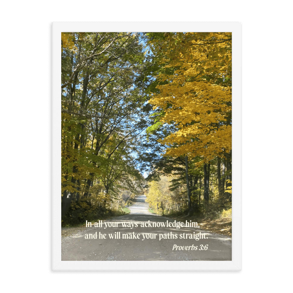 Proverbs 3:6 Bible Verse, Fall Road Enhanced Matte Paper Framed Poster Wall Art White 18″×24″