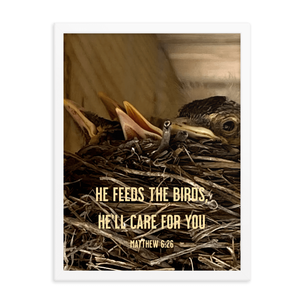 Matthew 6:26 Baby Robins, He'll Care for You Enhanced Matte Paper Framed Poster Wall Art White 18″×24″