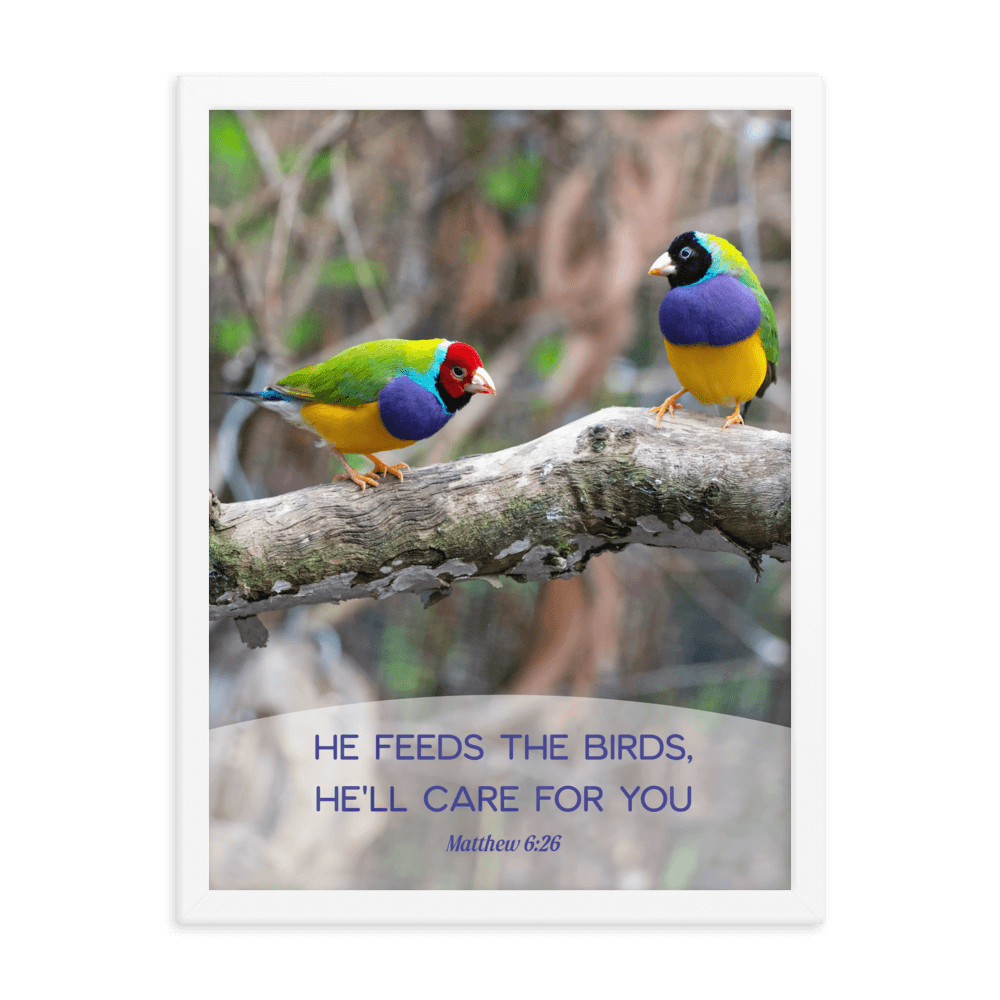 Matthew 6:26 Gouldian Finches, He'll Care for You Enhanced Matte Paper Framed Poster Wall Art White 18″×24″