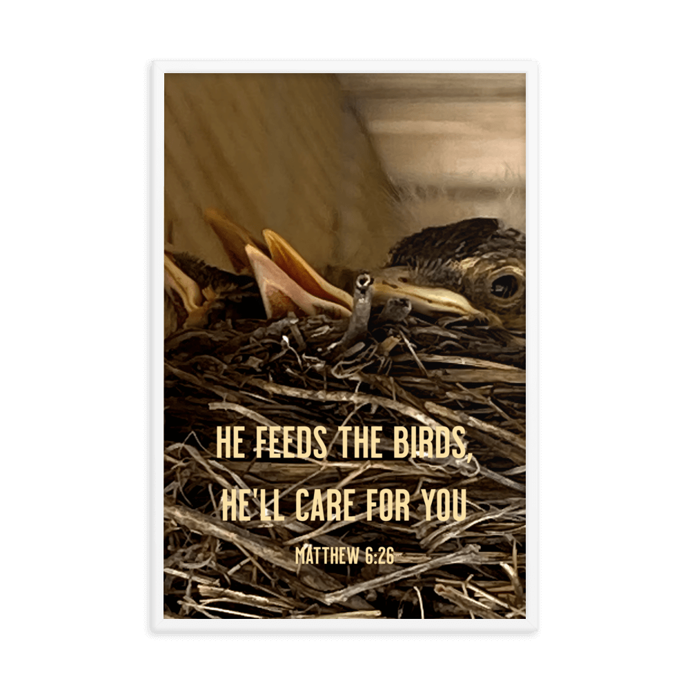 Matthew 6:26 Baby Robins, He'll Care for You Enhanced Matte Paper Framed Poster Wall Art White 24″×36″
