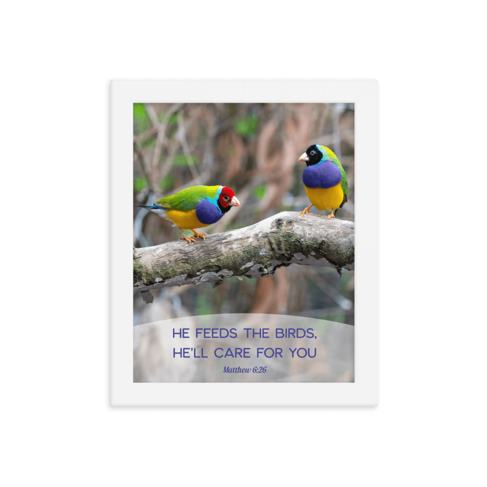 Matthew 6:26 Gouldian Finches, He'll Care for You Enhanced Matte Paper Framed Poster Wall Art White 8″×10″