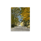 Proverbs 3:6 Bible Verse, Fall Road Enhanced Matte Paper Poster Wall Art