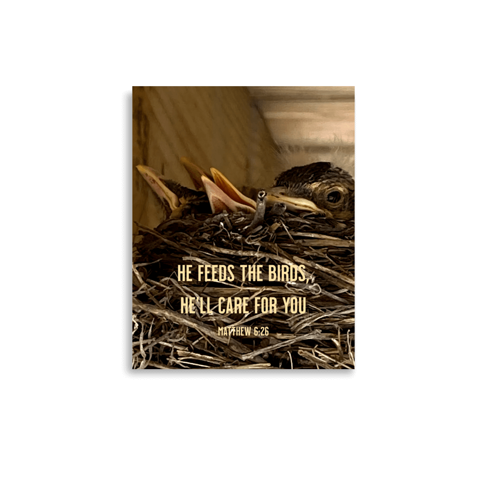 Matthew 6:26 Baby Robins, He'll Care for You Enhanced Matte Paper Poster Wall Art