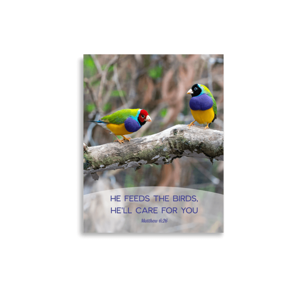 Matthew 6:26 Gouldian Finches, He'll Care for You Enhanced Matte Paper Poster Wall Art