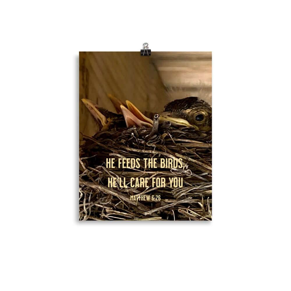 Matthew 6:26 Baby Robins, He'll Care for You Enhanced Matte Paper Poster Wall Art 11″×14″