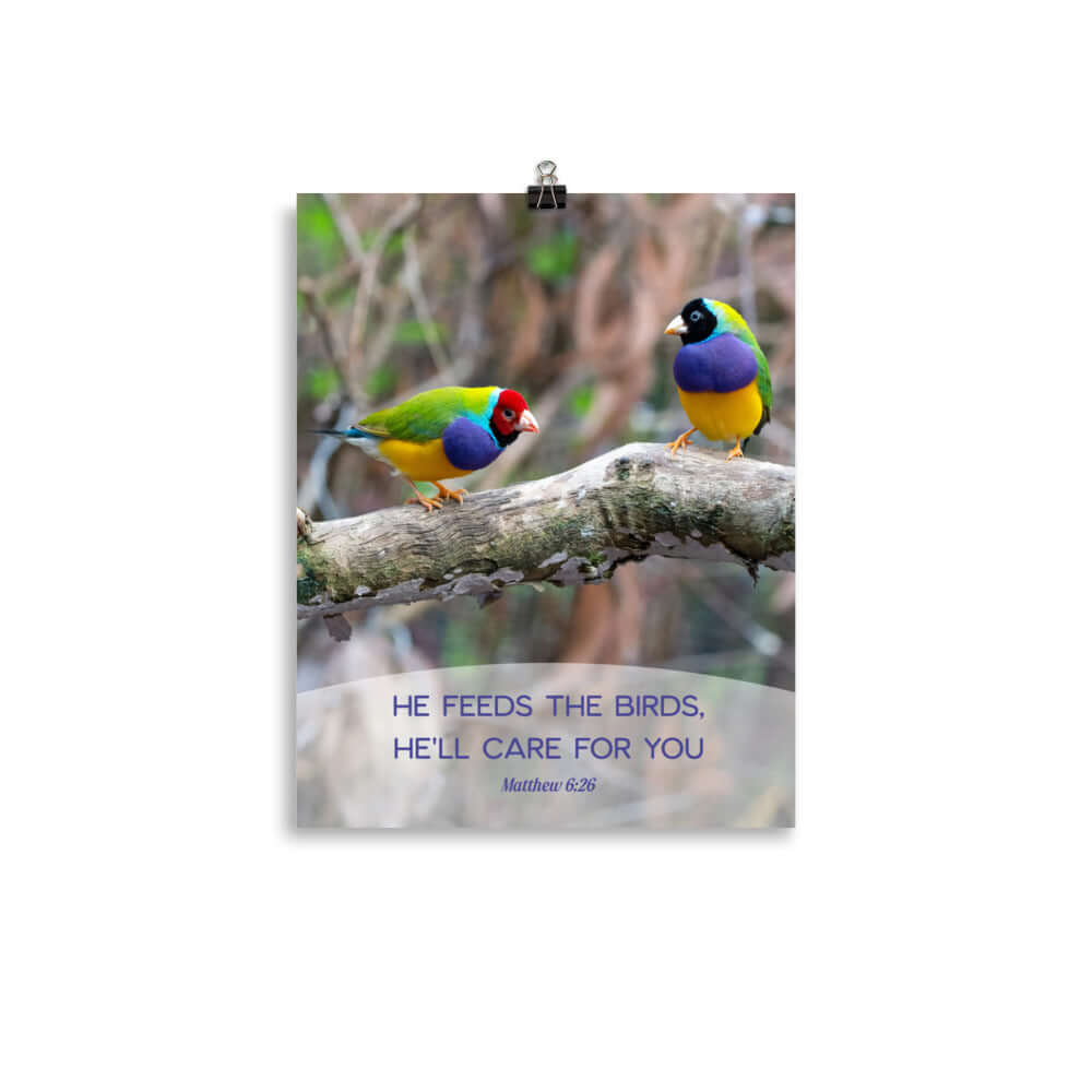 Matthew 6:26 Gouldian Finches, He'll Care for You Enhanced Matte Paper Poster Wall Art 11″×14″