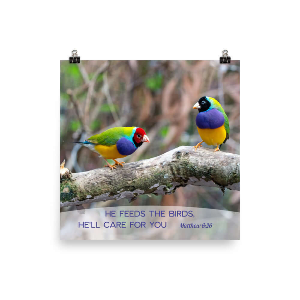 Matthew 6:26 Gouldian Finches, He'll Care for You Enhanced Matte Paper Poster Wall Art 12″×12″