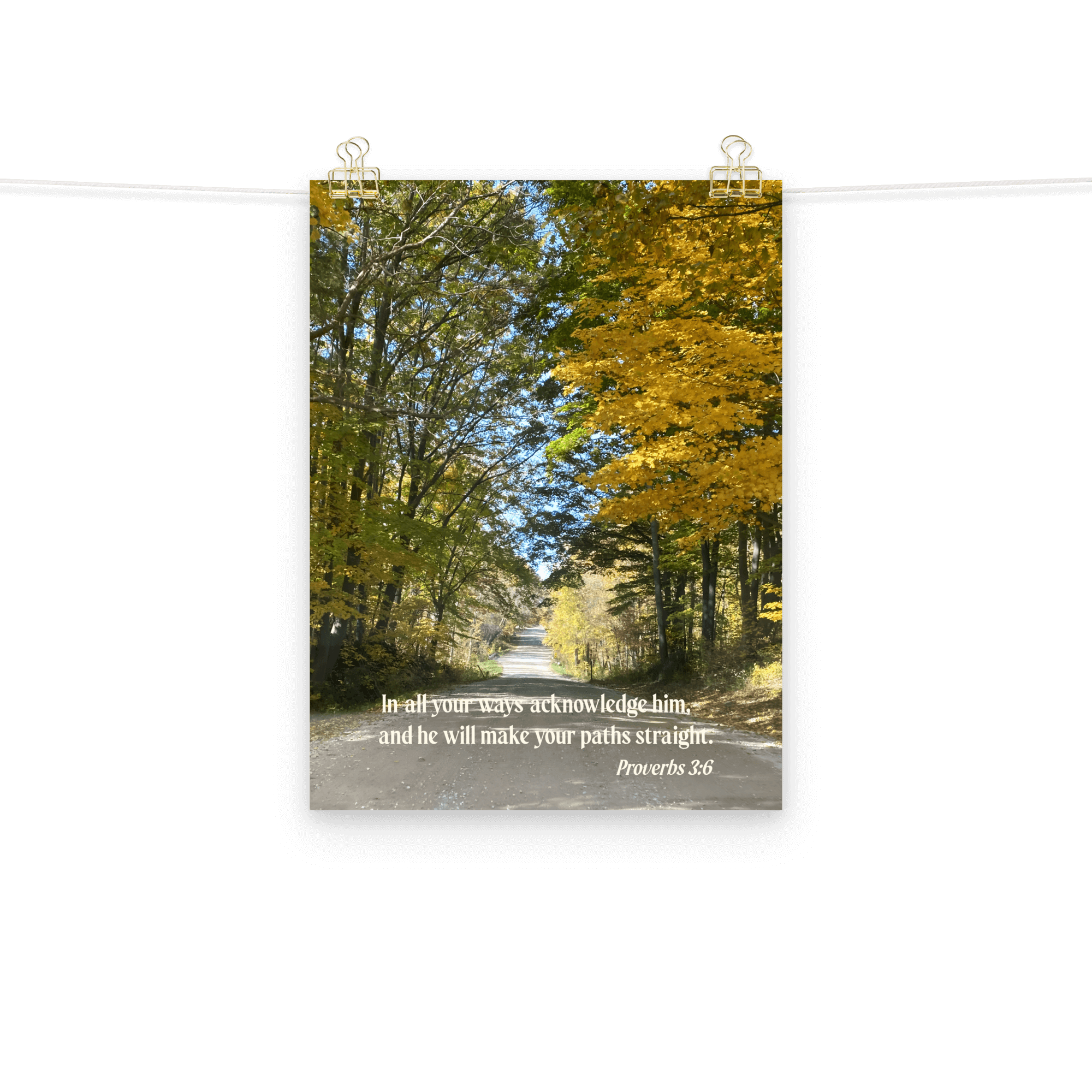Proverbs 3:6 Bible Verse, Fall Road Enhanced Matte Paper Poster Wall Art