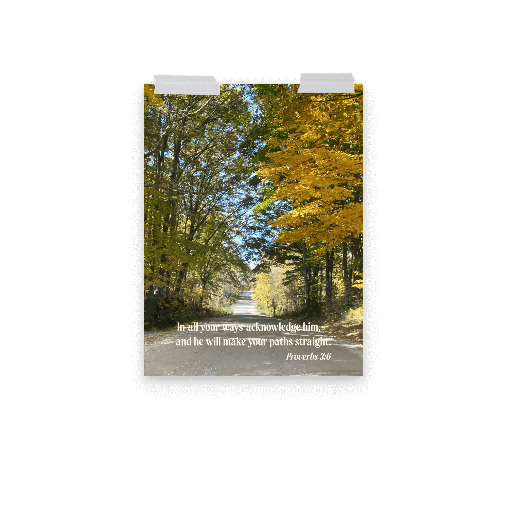 Proverbs 3:6 Bible Verse, Fall Road Enhanced Matte Paper Poster Wall Art