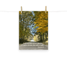 Proverbs 3:6 Bible Verse, Fall Road Enhanced Matte Paper Poster Wall Art