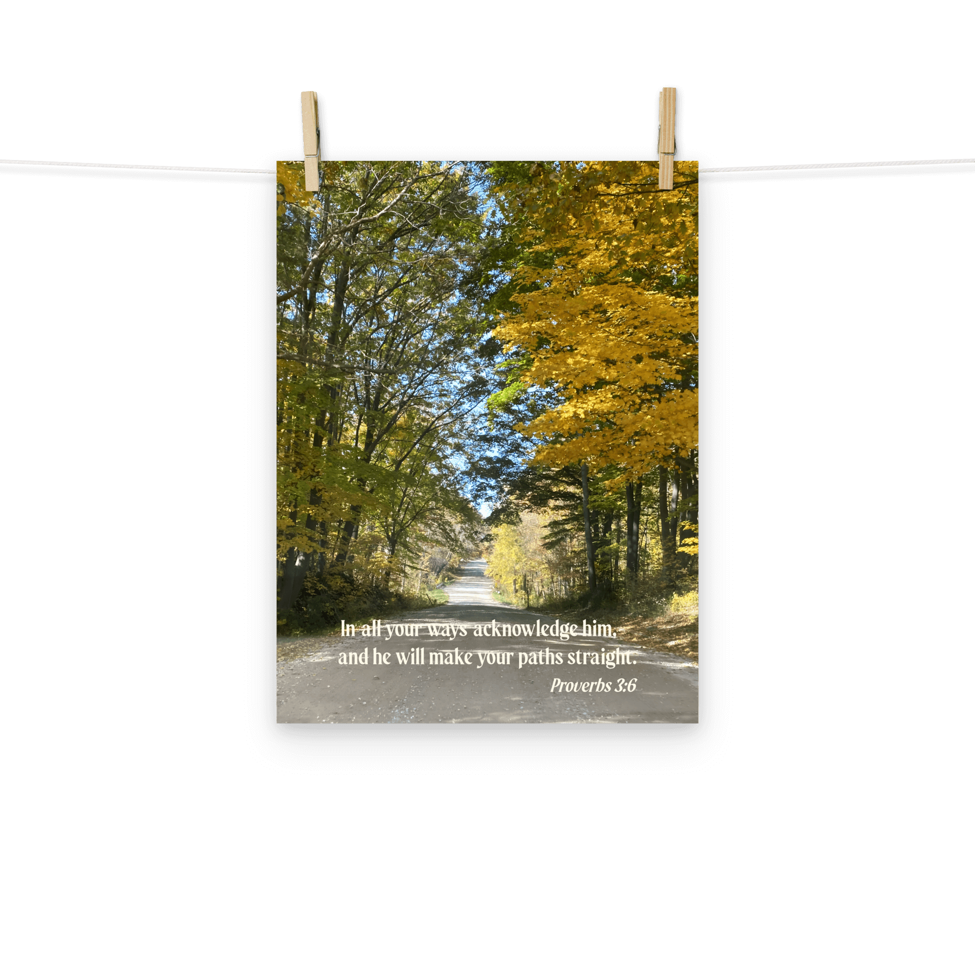 Proverbs 3:6 Bible Verse, Fall Road Enhanced Matte Paper Poster Wall Art
