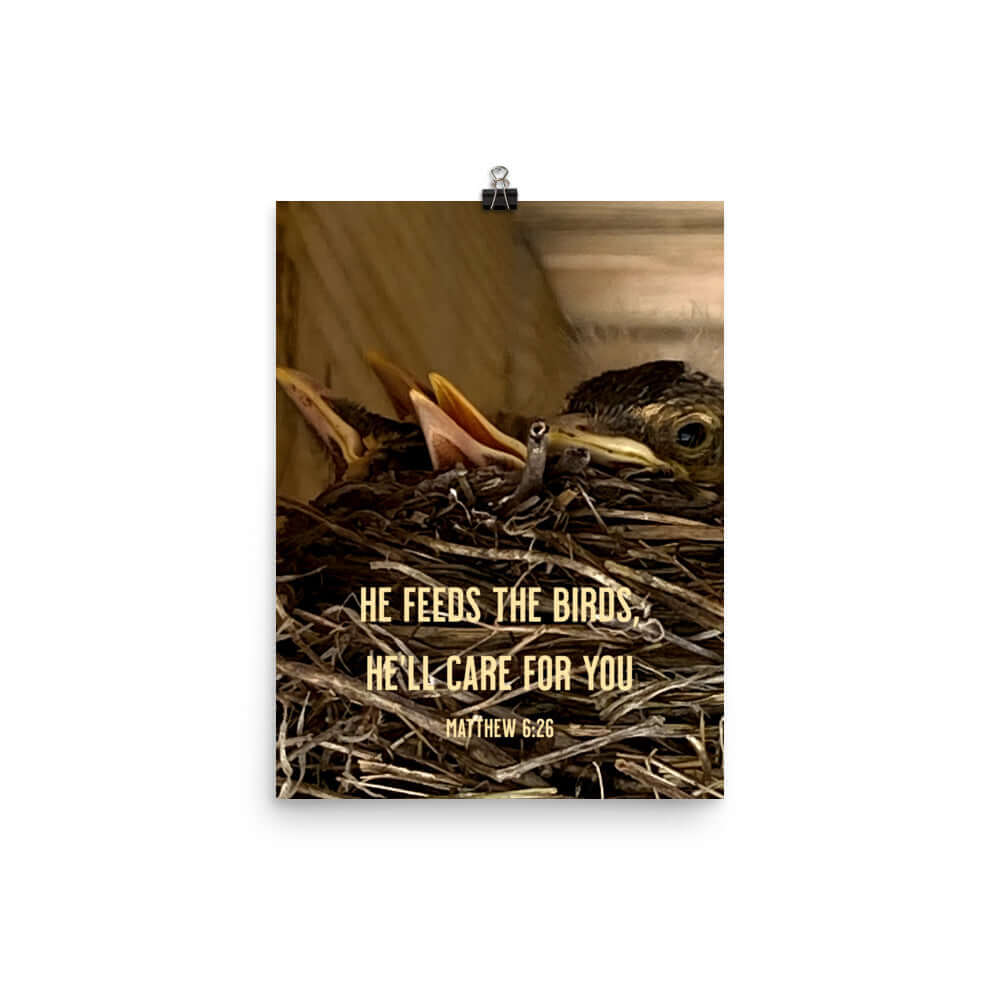 Matthew 6:26 Baby Robins, He'll Care for You Enhanced Matte Paper Poster Wall Art 12″×16″