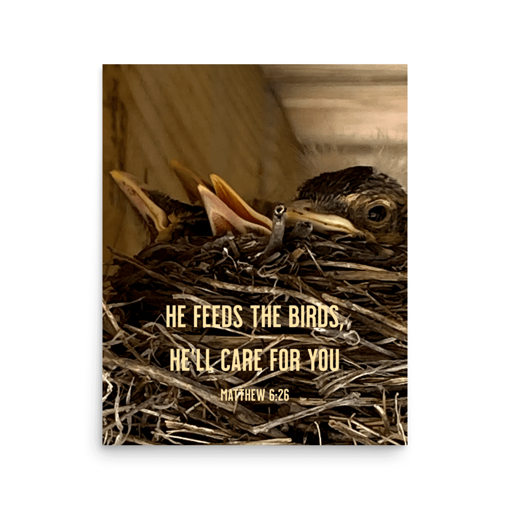 Matthew 6:26 Baby Robins, He'll Care for You Enhanced Matte Paper Poster Wall Art