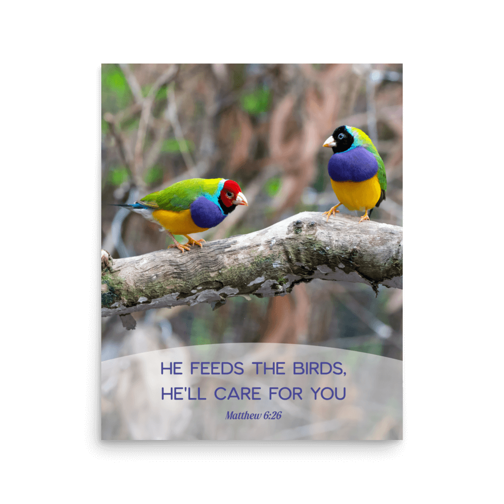 Matthew 6:26 Gouldian Finches, He'll Care for You Enhanced Matte Paper Poster Wall Art