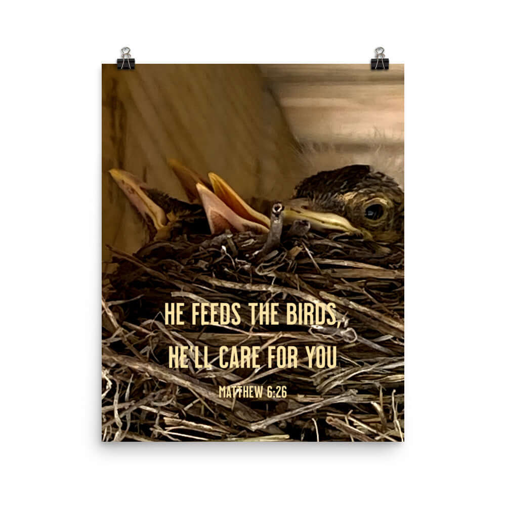 Matthew 6:26 Baby Robins, He'll Care for You Enhanced Matte Paper Poster Wall Art 16″×20″