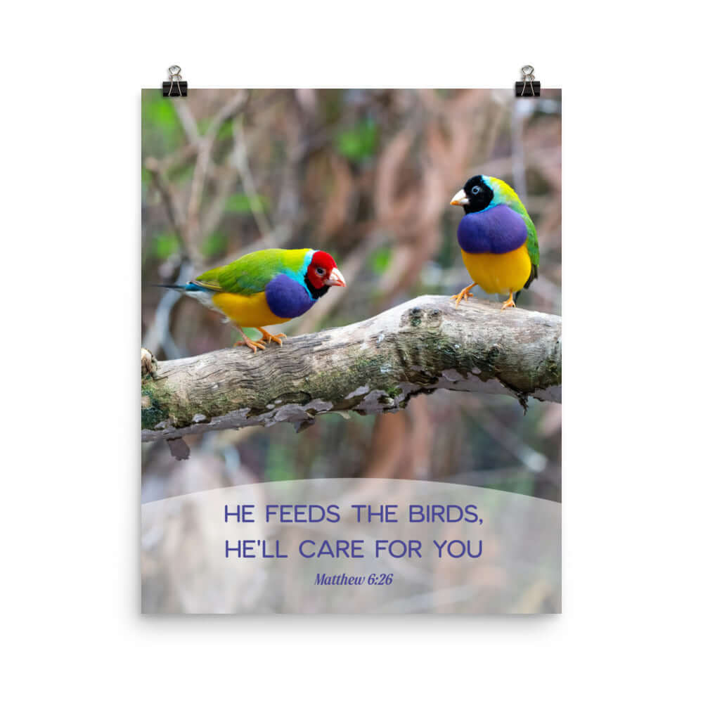 Matthew 6:26 Gouldian Finches, He'll Care for You Enhanced Matte Paper Poster Wall Art 16″×20″