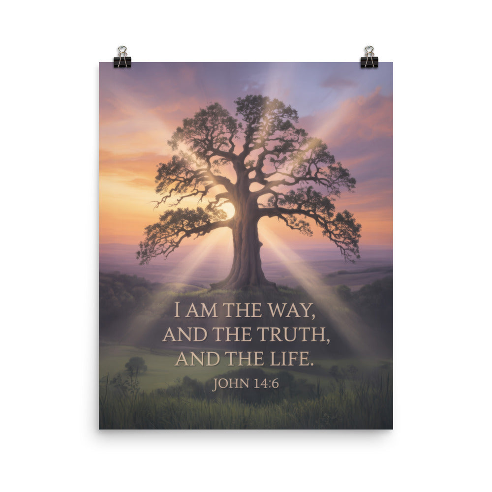 John 14:6 Bible Verse Jesus said Enhanced Matte Paper Poster 16″×20″