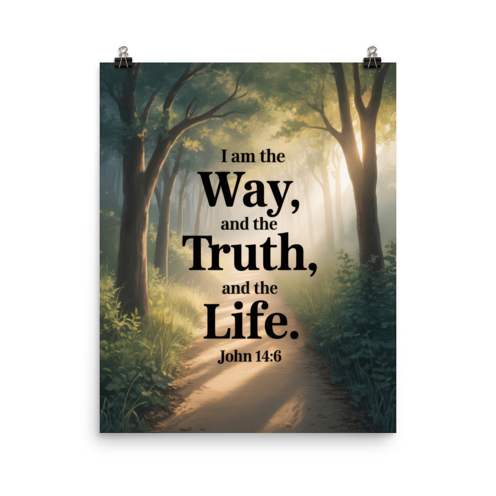 John 14:6 Bible Verse The Life Enhanced Matte Paper Poster 16″×20″