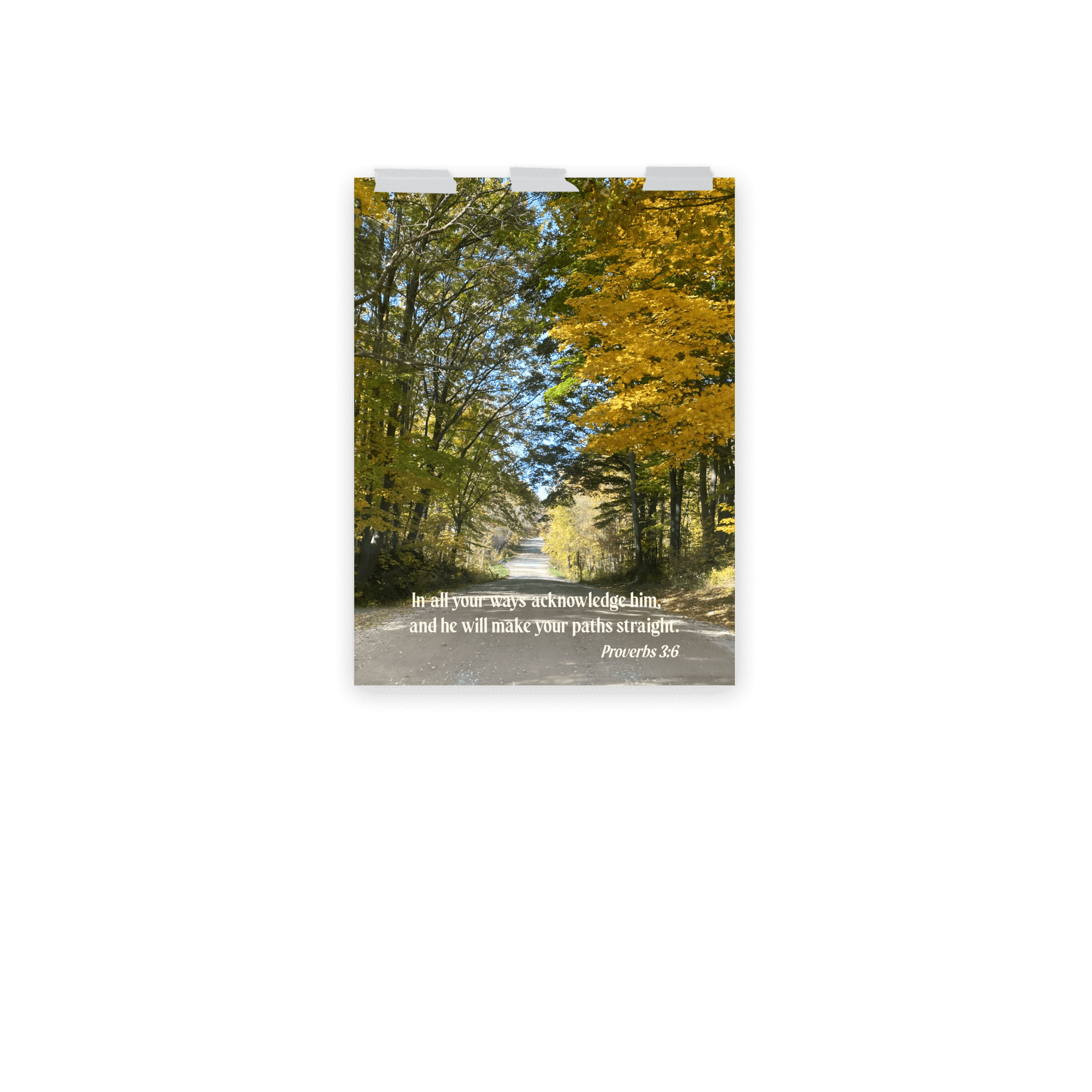 Proverbs 3:6 Bible Verse, Fall Road Enhanced Matte Paper Poster Wall Art