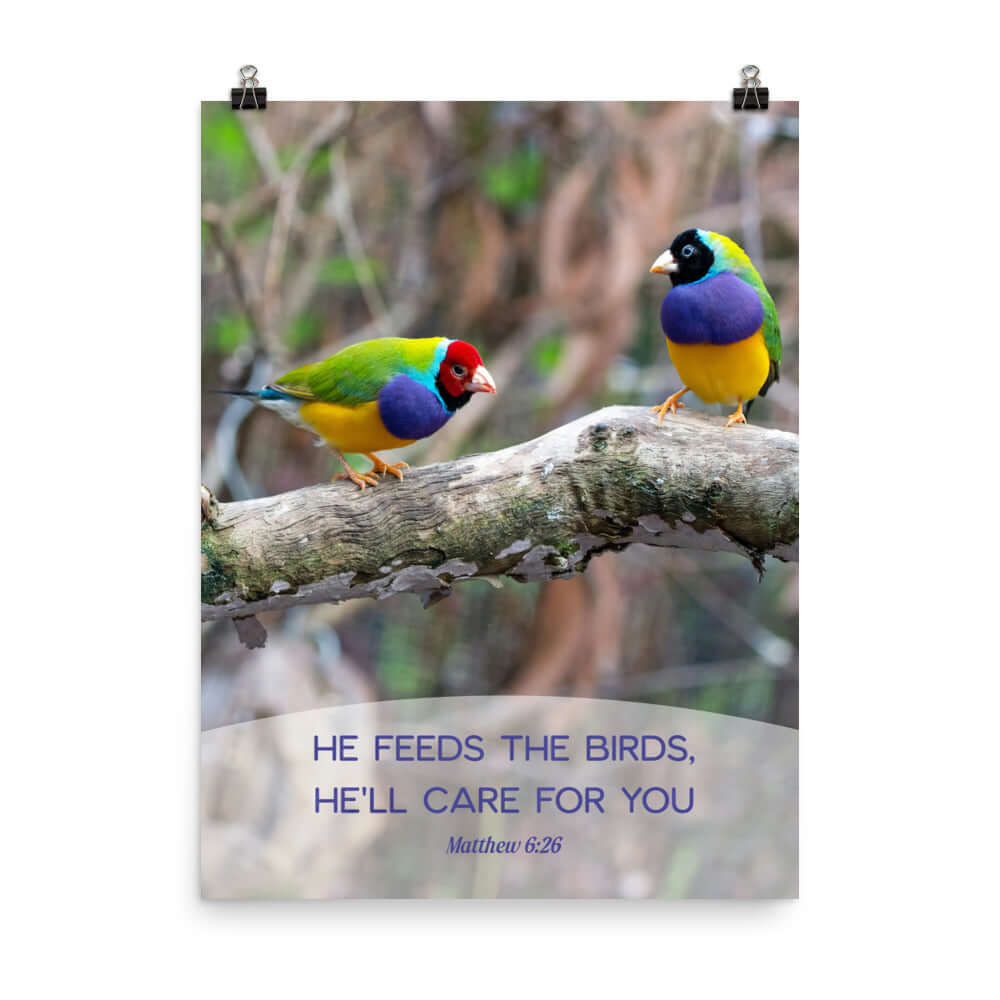 Matthew 6:26 Gouldian Finches, He'll Care for You Enhanced Matte Paper Poster Wall Art 18″×24″