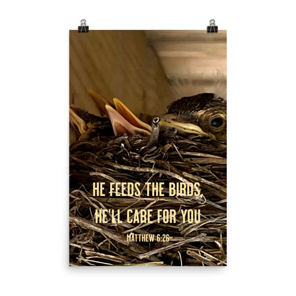 Matthew 6:26 Baby Robins, He'll Care for You Enhanced Matte Paper Poster Wall Art 24″×36″
