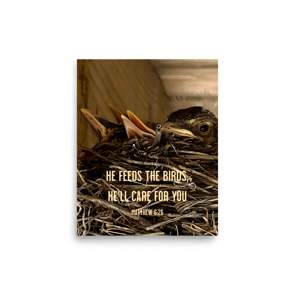 Matthew 6:26 Baby Robins, He'll Care for You Enhanced Matte Paper Poster Wall Art
