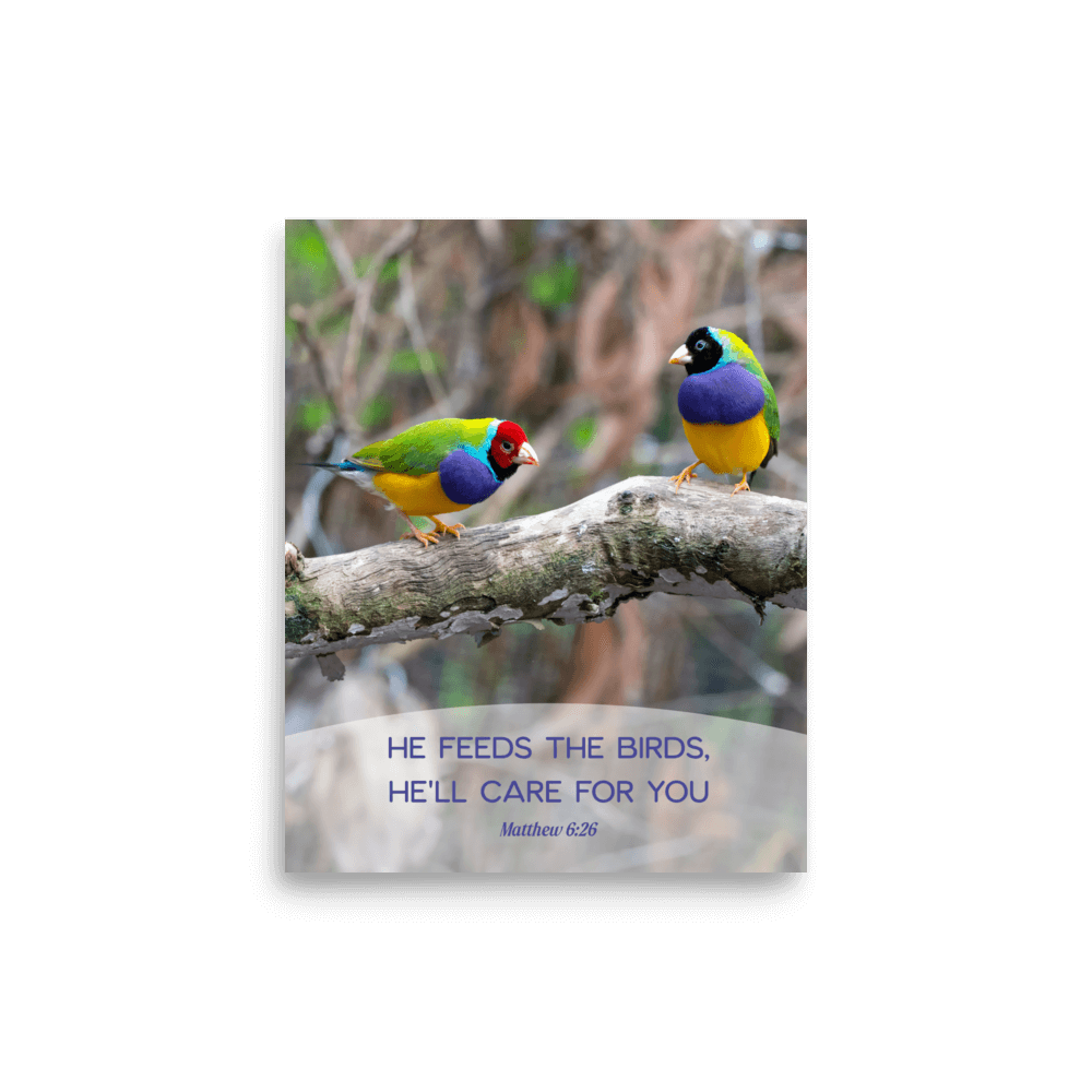 Matthew 6:26 Gouldian Finches, He'll Care for You Enhanced Matte Paper Poster Wall Art