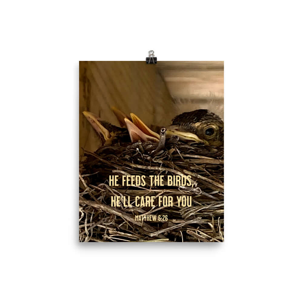 Matthew 6:26 Baby Robins, He'll Care for You Enhanced Matte Paper Poster Wall Art 8″×10″