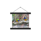 Matthew 6:26 Gouldian Finches, He'll Care for You Enhanced Matte Paper Poster With Hanger Wall Art