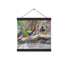 Matthew 6:26 Gouldian Finches, He'll Care for You Enhanced Matte Paper Poster With Hanger Wall Art