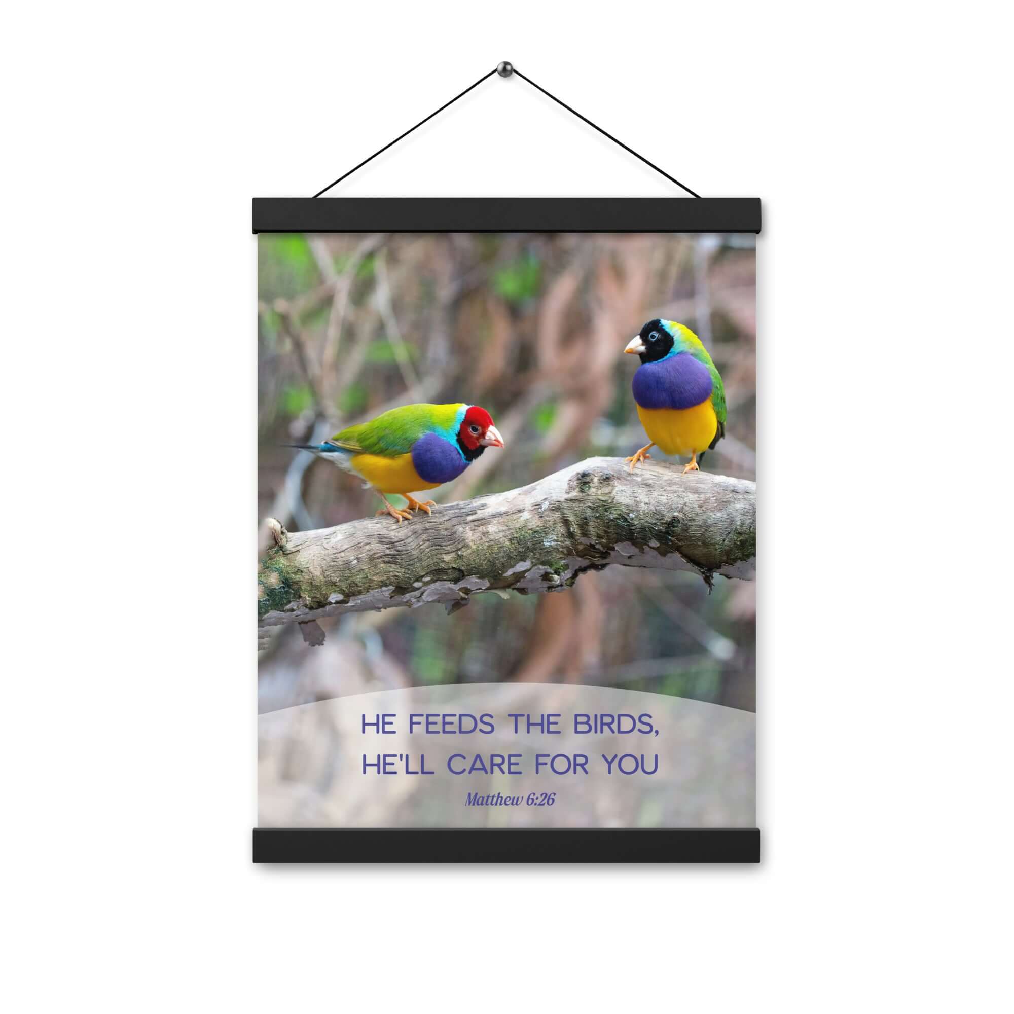 Matthew 6:26 Gouldian Finches, He'll Care for You Enhanced Matte Paper Poster With Hanger Wall Art