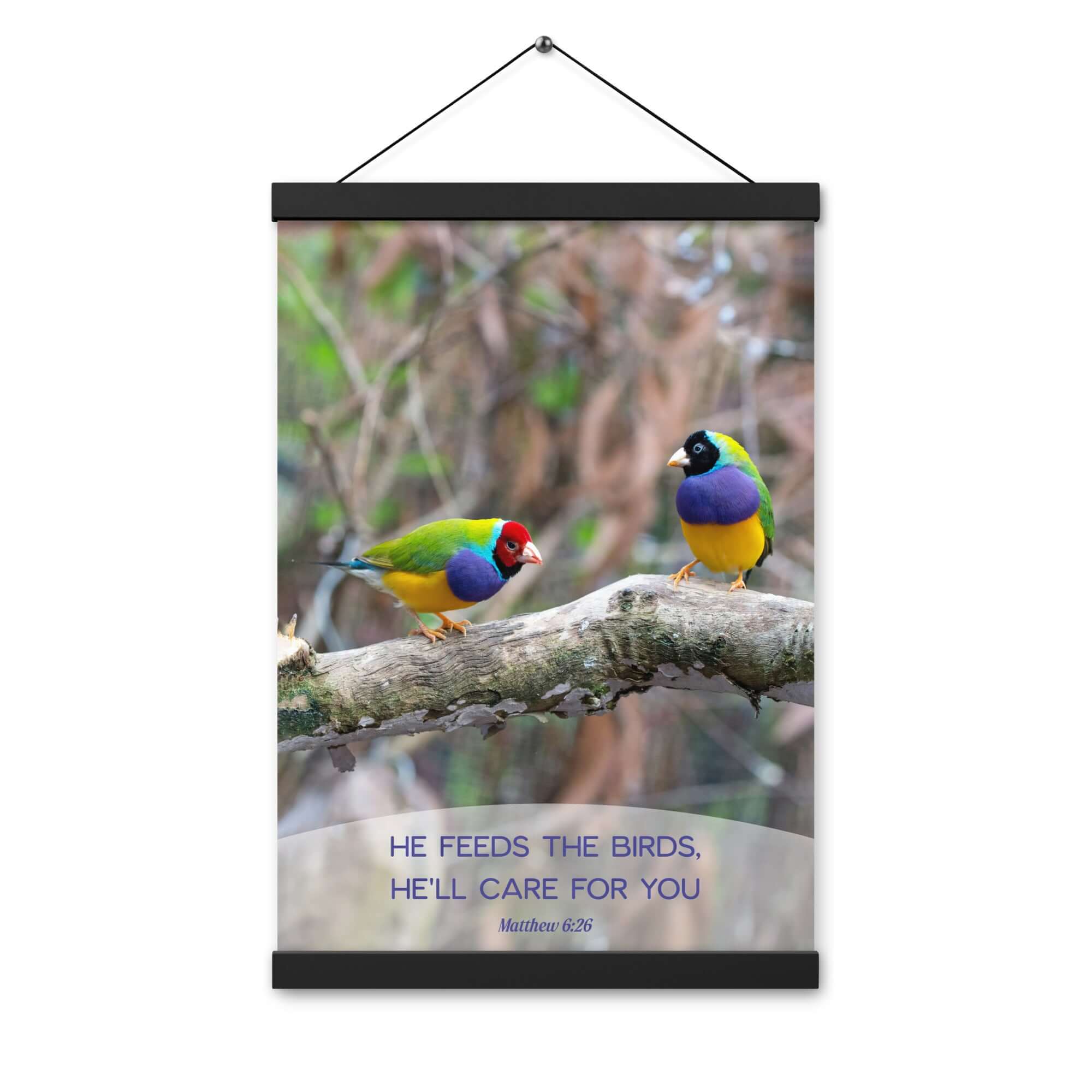 Matthew 6:26 Gouldian Finches, He'll Care for You Enhanced Matte Paper Poster With Hanger Wall Art
