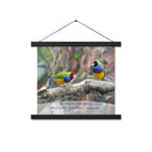 Matthew 6:26 Gouldian Finches, He'll Care for You Enhanced Matte Paper Poster With Hanger Wall Art