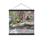 Matthew 6:26 Gouldian Finches, He'll Care for You Enhanced Matte Paper Poster With Hanger Wall Art