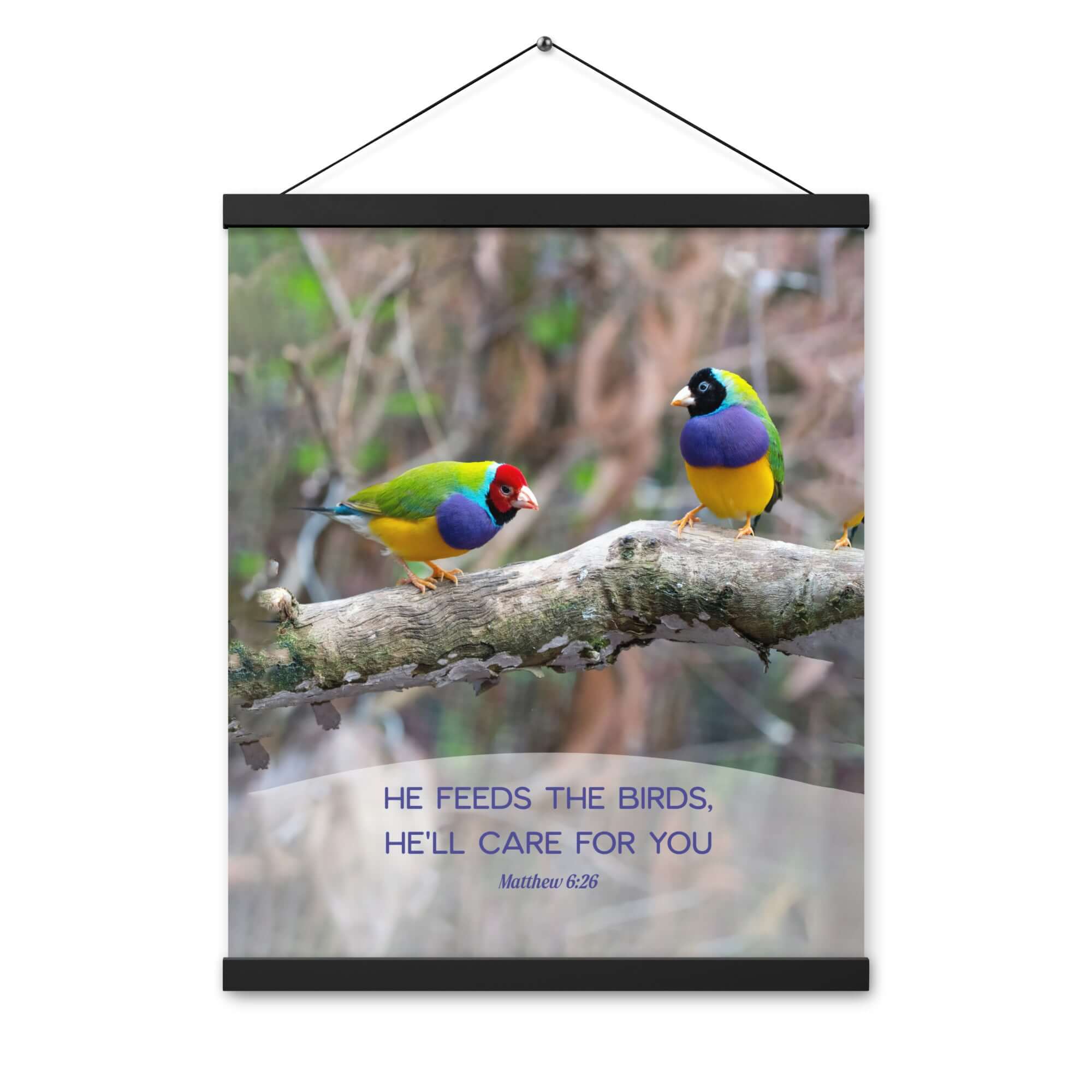 Matthew 6:26 Gouldian Finches, He'll Care for You Enhanced Matte Paper Poster With Hanger Wall Art