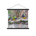 Matthew 6:26 Gouldian Finches, He'll Care for You Enhanced Matte Paper Poster With Hanger Wall Art