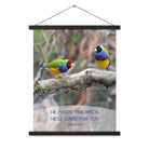 Matthew 6:26 Gouldian Finches, He'll Care for You Enhanced Matte Paper Poster With Hanger Wall Art