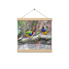 Matthew 6:26 Gouldian Finches, He'll Care for You Enhanced Matte Paper Poster With Hanger Wall Art Oak 12″×12″