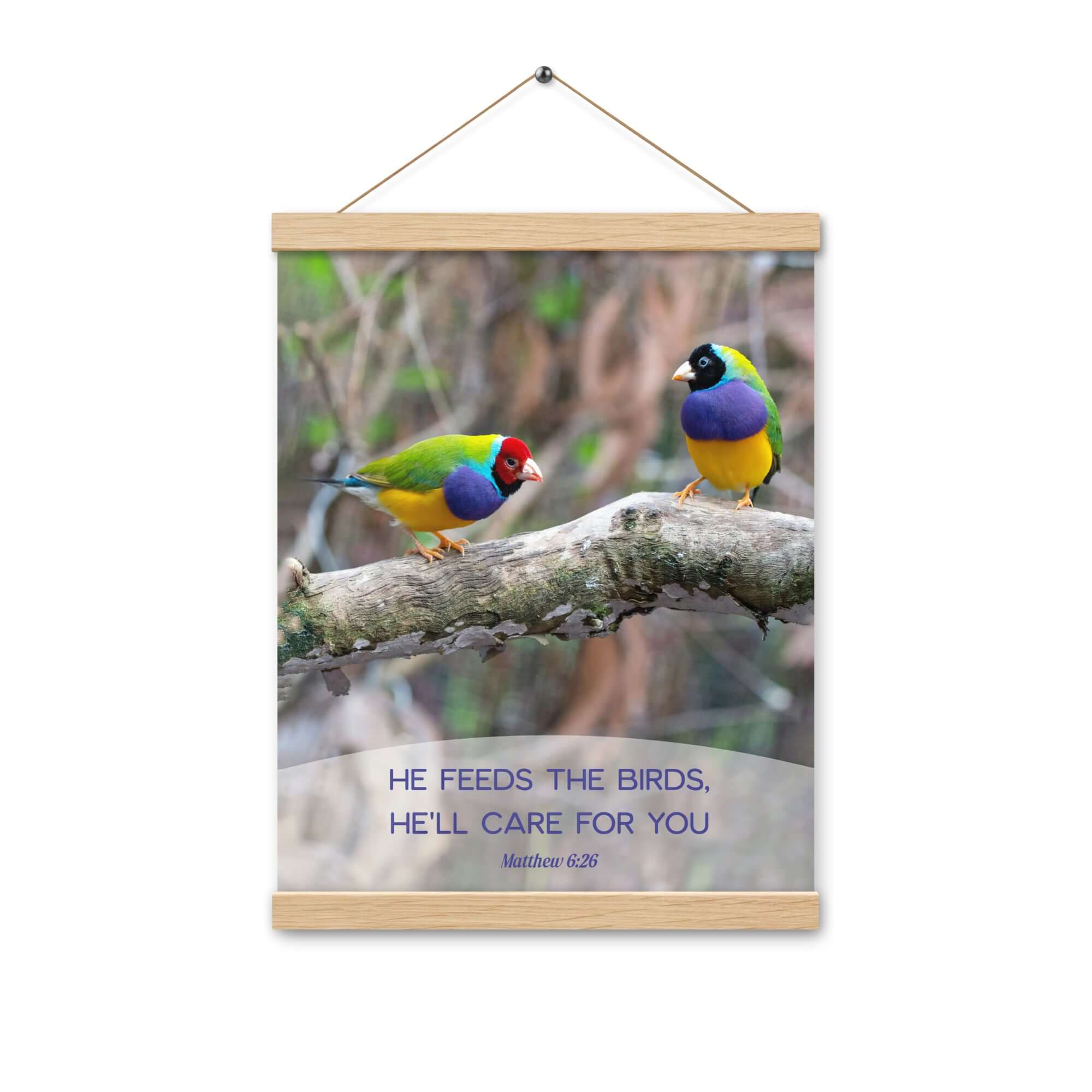 Matthew 6:26 Gouldian Finches, He'll Care for You Enhanced Matte Paper Poster With Hanger Wall Art