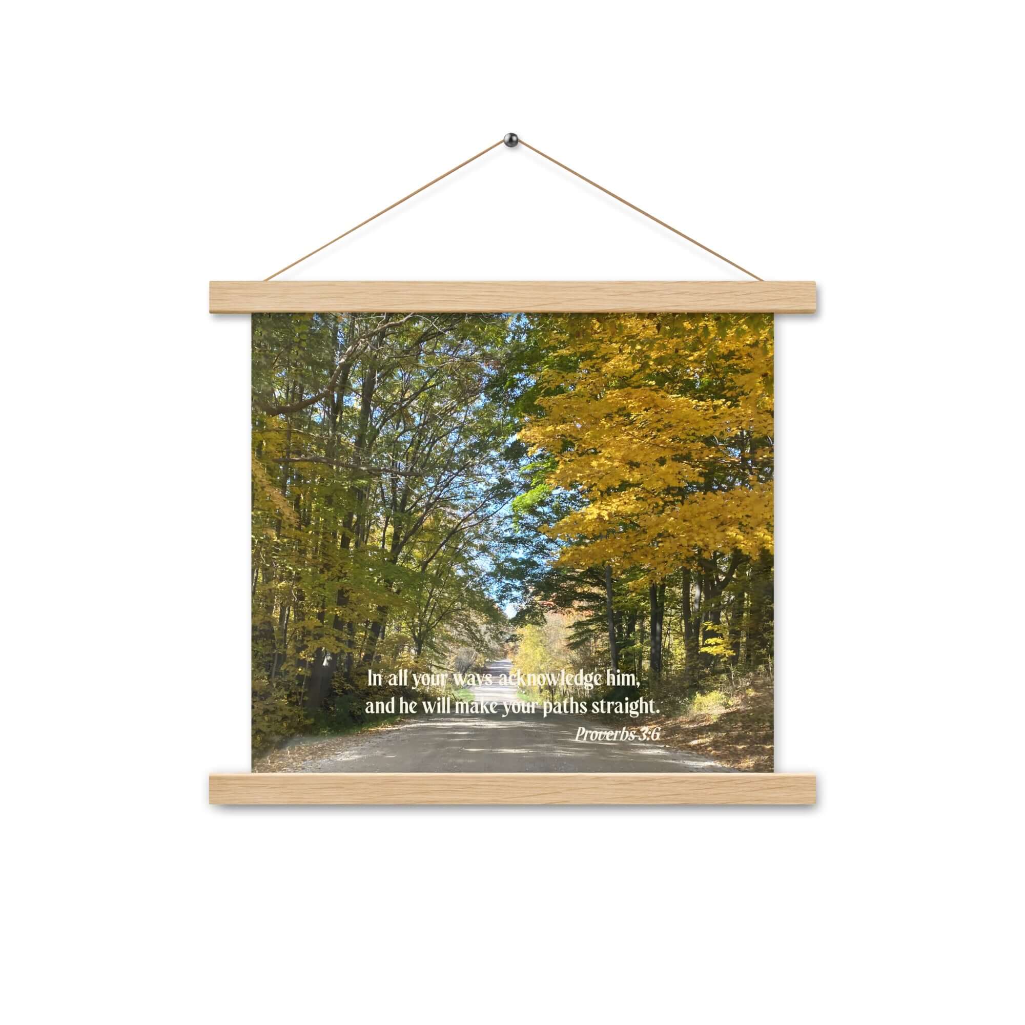 Proverbs 3:6 Bible Verse, Fall Road Enhanced Matte Paper Poster With Hanger Wall Art Oak 14″×14″