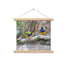 Matthew 6:26 Gouldian Finches, He'll Care for You Enhanced Matte Paper Poster With Hanger Wall Art Oak 14″×14″